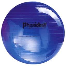 Zeige Details für Pezzi 85 cm Gymnastikball Bild von Pezzi 85 cm Gymnastikball